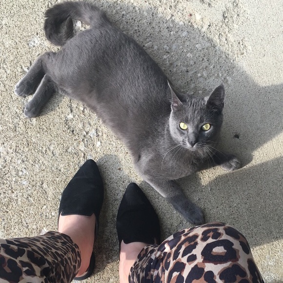 Meet your Posher, Jameela - Picture 1 of 1